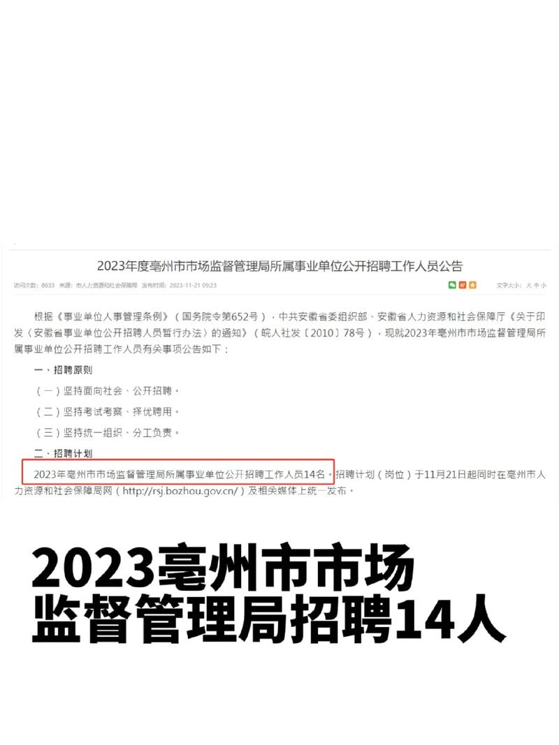 冀州市市场监视治理局最新招聘信息详解及招聘动态更新通知