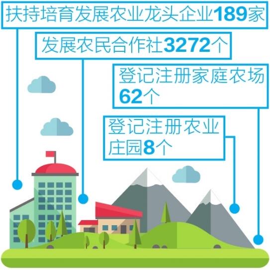 文山县图书馆迈向现代化与智能化新征程的发展规划