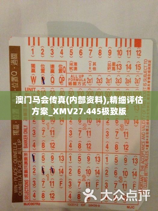 马会传真，准确资料解释落实，工具版10.872