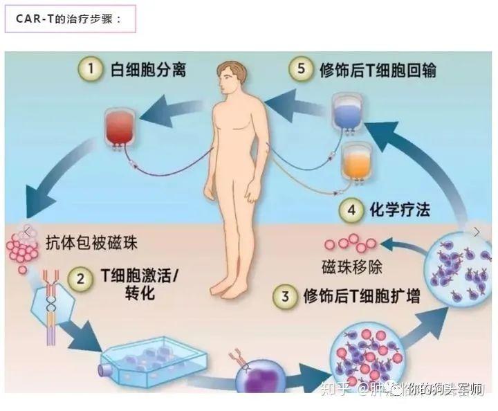 最新癌症治疗突破，希望之光照亮治疗之路