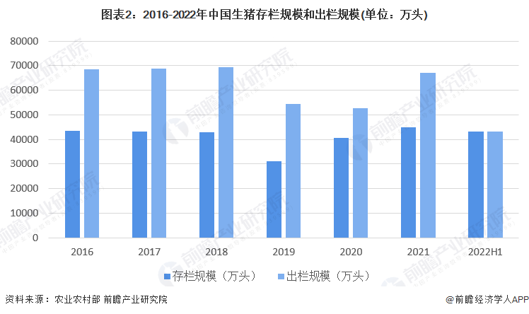 4949最快开奖结果+香港,实践策略实施解析