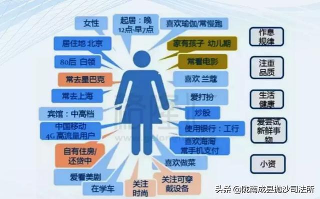 新澳门今天最新免费资料,全面解析数据执行_领航款77.210