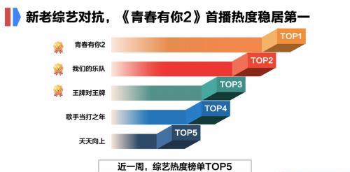 最准一肖100%中一奖，全面数据执行方案，KP91.125