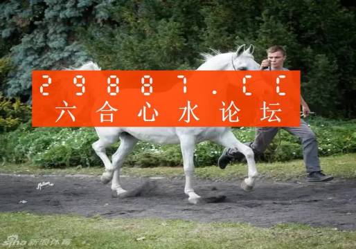 7777788888新版跑狗图论坛,准确资料解释落实_set61.466