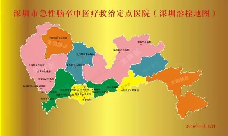 深圳地图最新更新，探索城市脉络与发展的全新指南