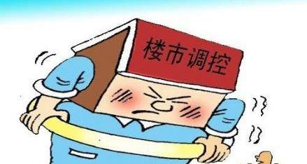 最新调控政策下的市场变化挑战及应对之策